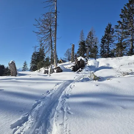 Gaestehaus Hechenblaikner 마우라흐