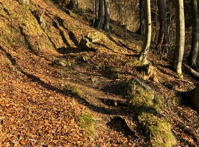 Gaestehaus Hechenblaikner