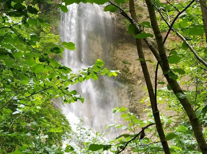 招待所 Gaestehaus Hechenblaikner 3*