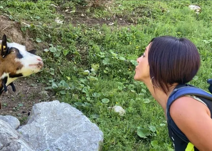 Gaestehaus Hechenblaikner 3*