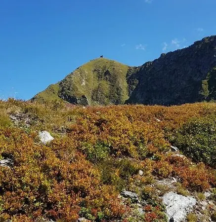 Gæstehus Gaestehaus Hechenblaikner