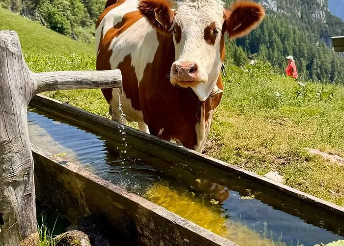 Gaestehaus Hechenblaikner 3*